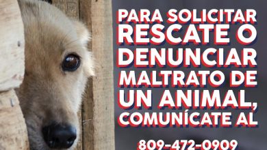 Photo of Guía de prevención y rescate para  mascotas es una realidad en República Dominicana.