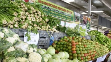 Photo of CALIDAD,PRECIOS ASEQUIBLE Y RICA COMIDA ES EL AMBIENTE DEL MERCA SANTO DOMINGO.  VISITALO Y APROVECHA !