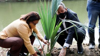 Photo of Porfirio Peralta implementa Promipyme Verde  con saneamiento de Humedales del Cachón de San Isidro