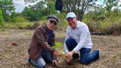 Photo of Reforestación del Parque Ecológico Laguna del Toro en Santo Antonio de Guerra iniciativa de Promipyme Verde