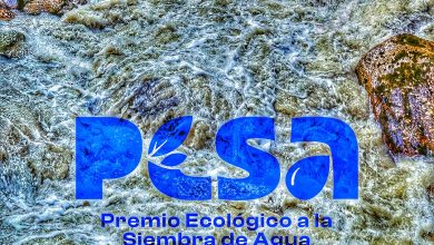 Photo of Fundación Sur Futuro celebra 24 aniversario y anuncia Premio Ecológico a la Siembra de Agua.